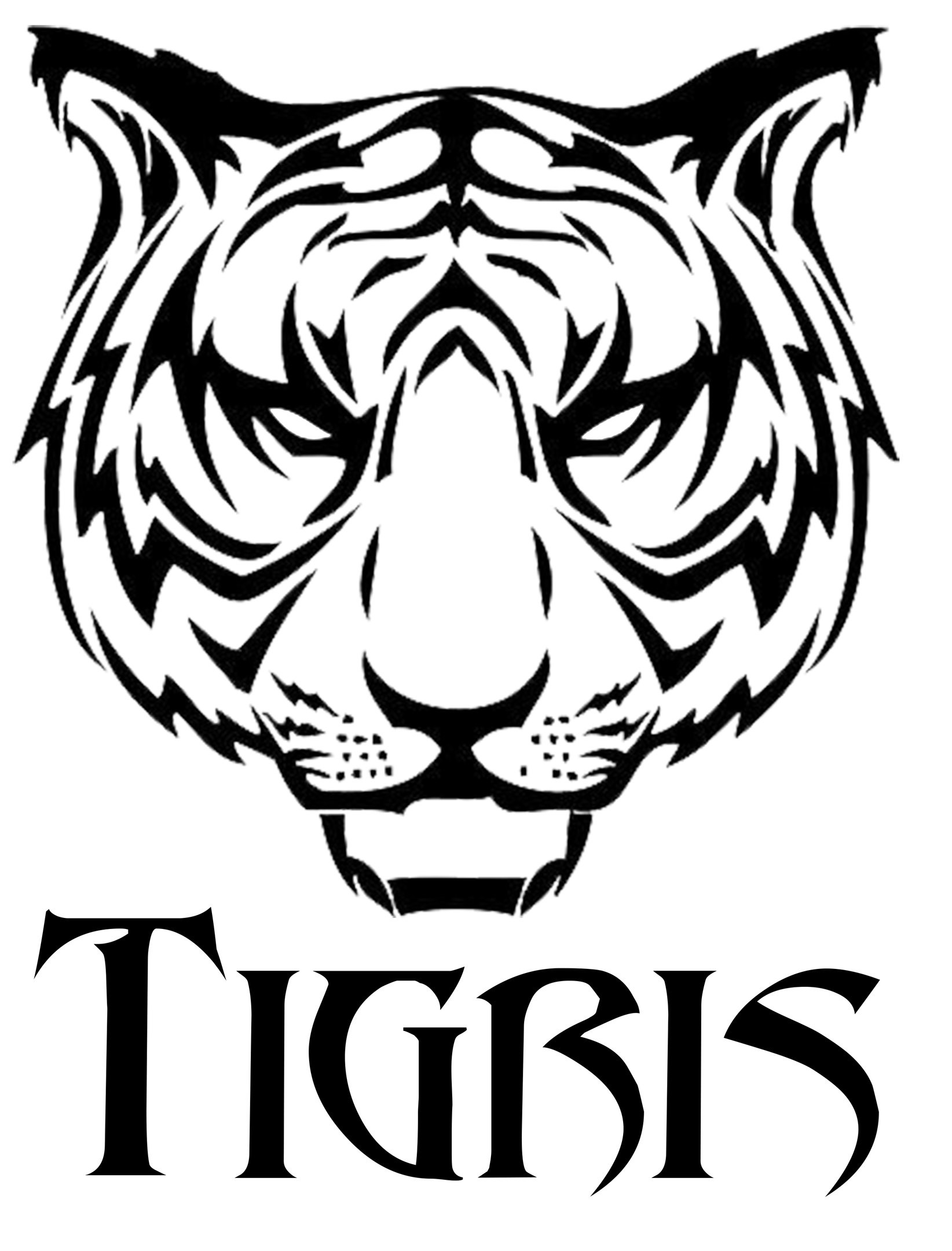 Рисунок головы тигра