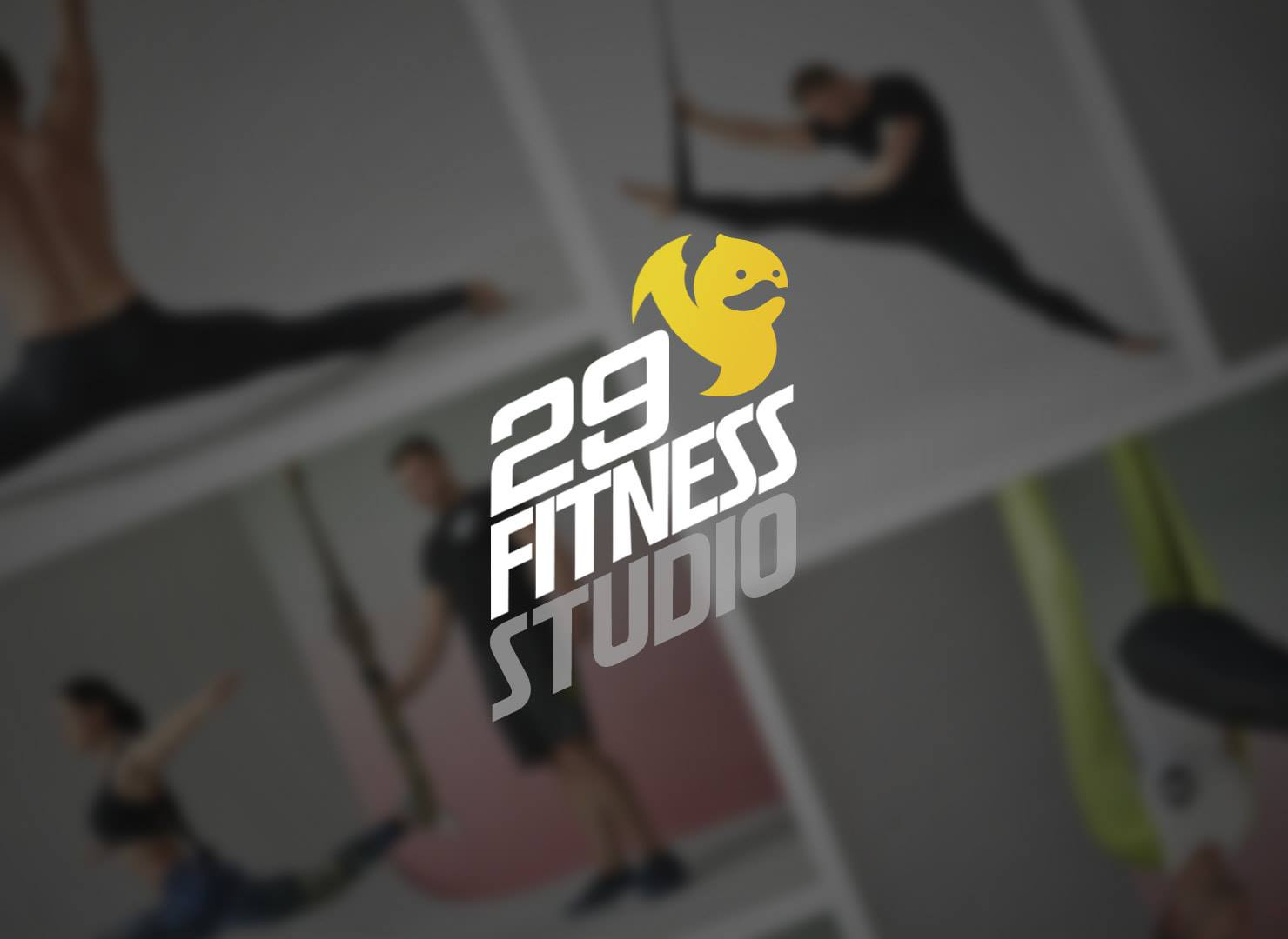 Фитнес-студия Fitness Studio 29